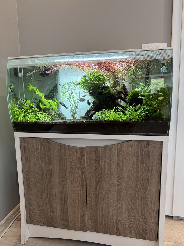 Akwarium Fluval 128l - Full Zestaw