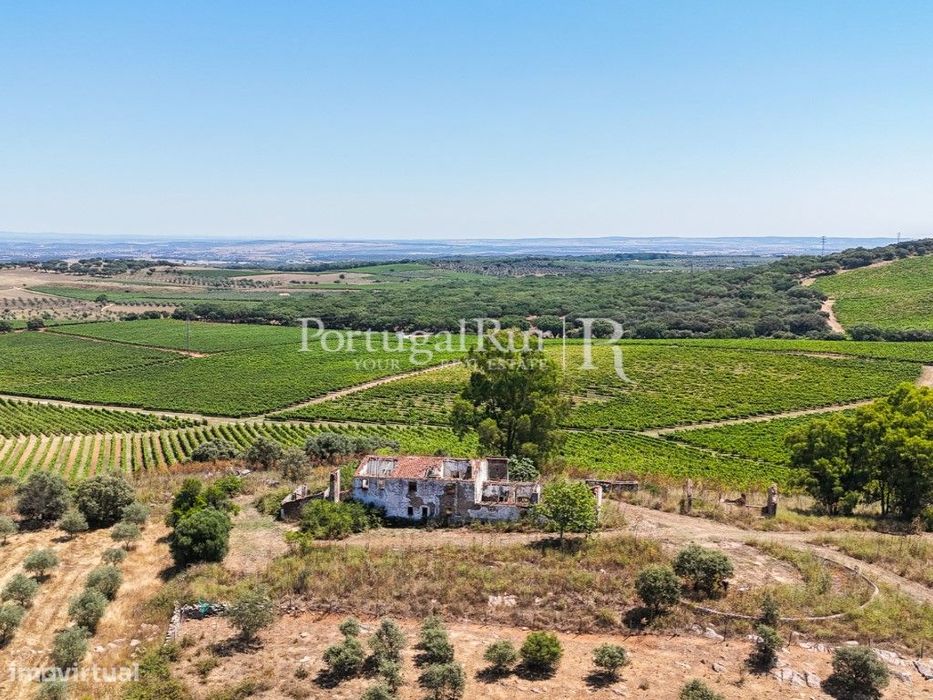 Herdade de 20,6 hectares com vinha e vocação turística