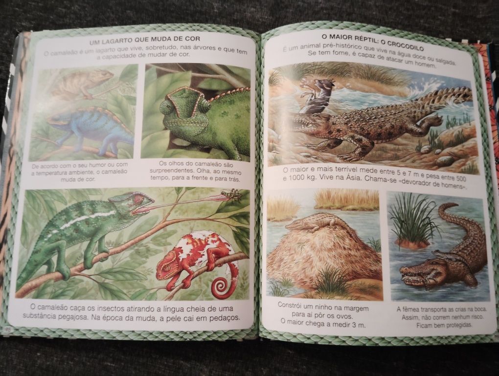 Livros Infantis Almofadados Usados