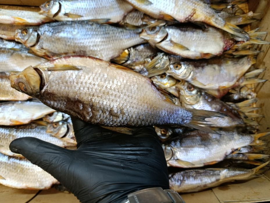 Тарань ( плотва ) с молодой икрой, балык толстолоба, щука вяленая