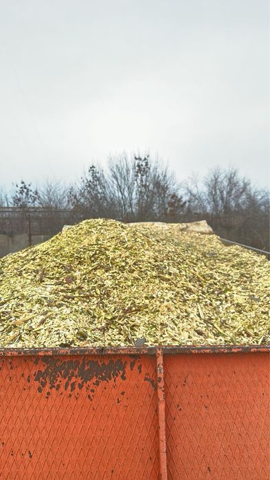 Щепа древесная твьордых пород