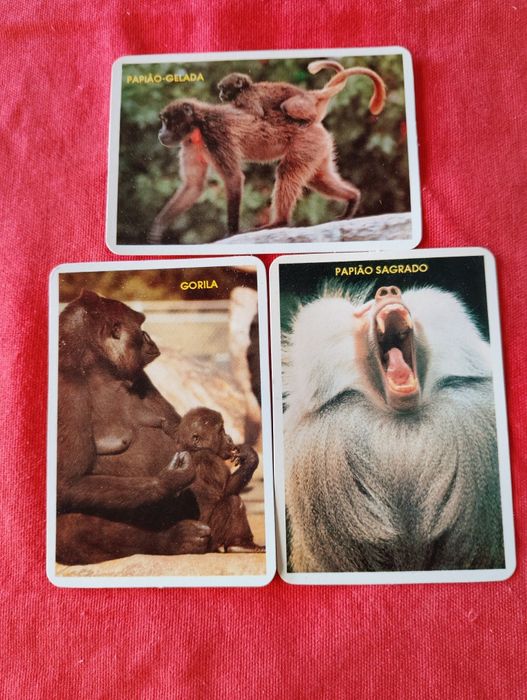 Calendários de bolso 1993