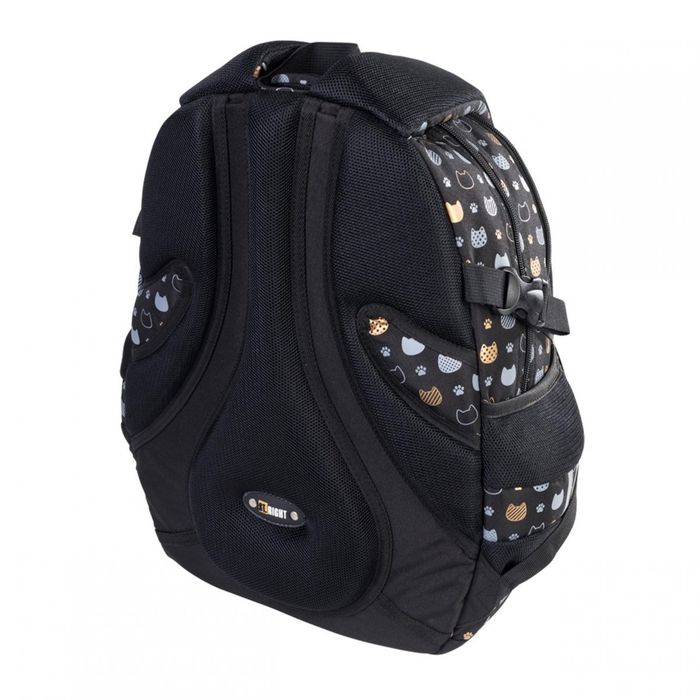 Plecak i piórnik  ST.RIGHT złote kotki GOLDEN CATS szkolny BP58