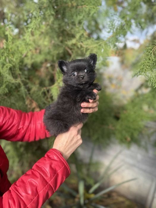 Дівчинка, дуже класна!