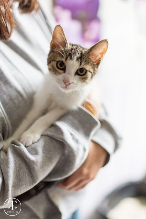 RÓŻDŻKA czeka na swojego człowieka