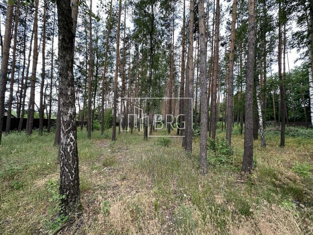 Современный дом с террасами в сосновом лесу по авторскому проекту