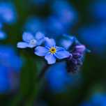 Обєктив nikon nikkor z 50 mm 2.8 macro z mc f/2.8 50mm