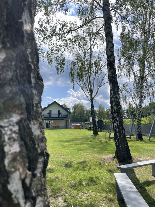 Kawalerskie/Panieńskie pod laskiem Okuninki Na Skraju Lasu
