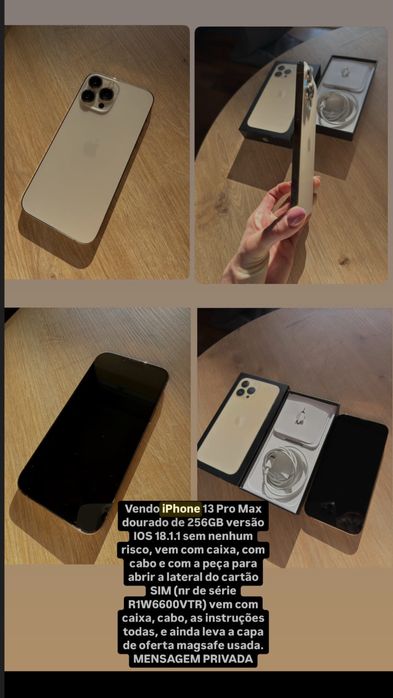 Iphone 13 pro max
