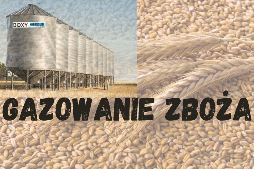 Gazowanie zboża - Fumigacja.