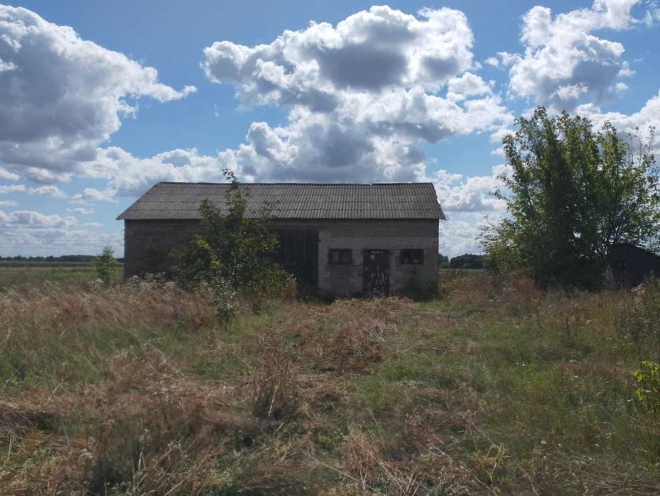 Sprzedam Nieruchomość 5,43 Ha