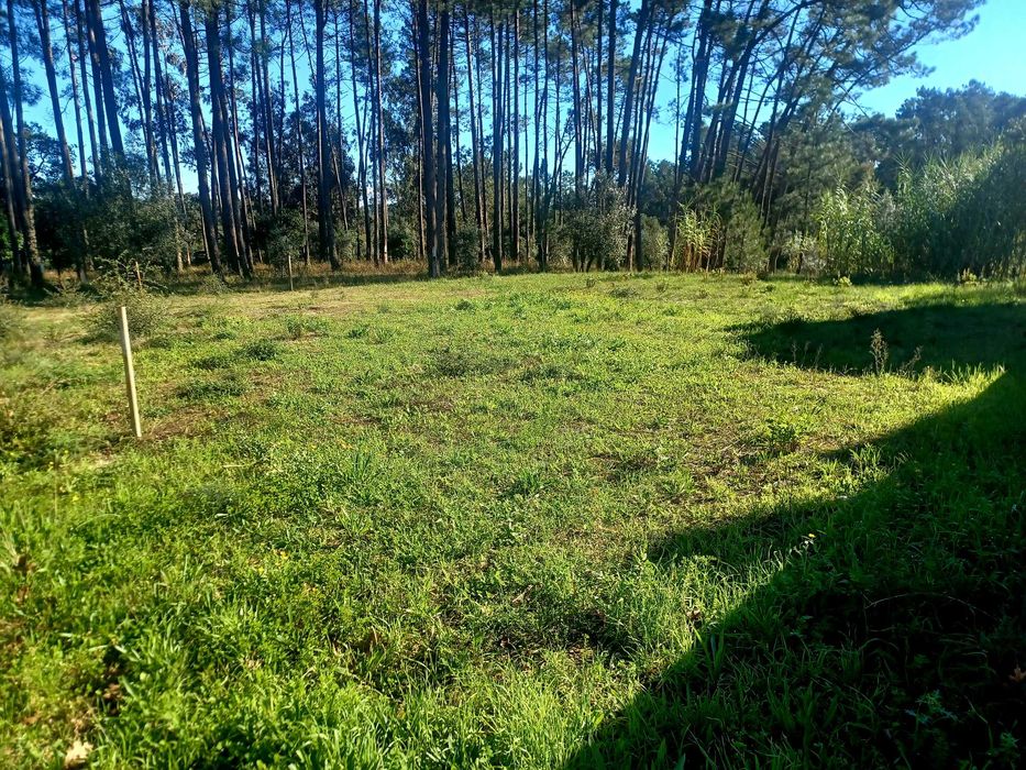 Terreno Leiria - 700m2