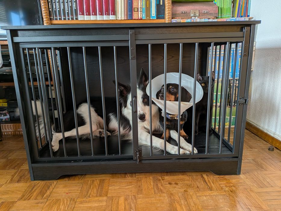 Móvel Crate para cães