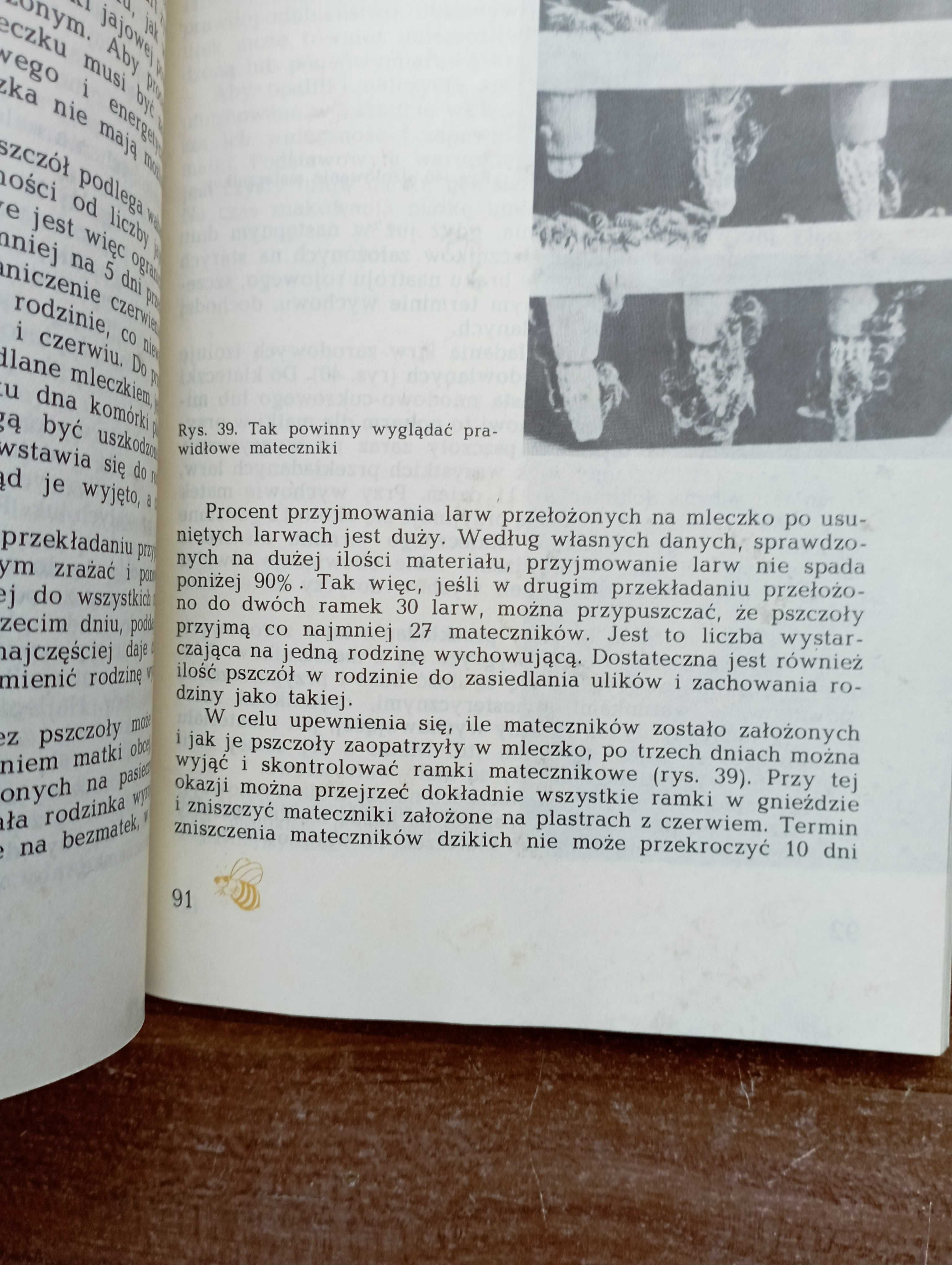 ABC pszczelarza Józef Kalinowski