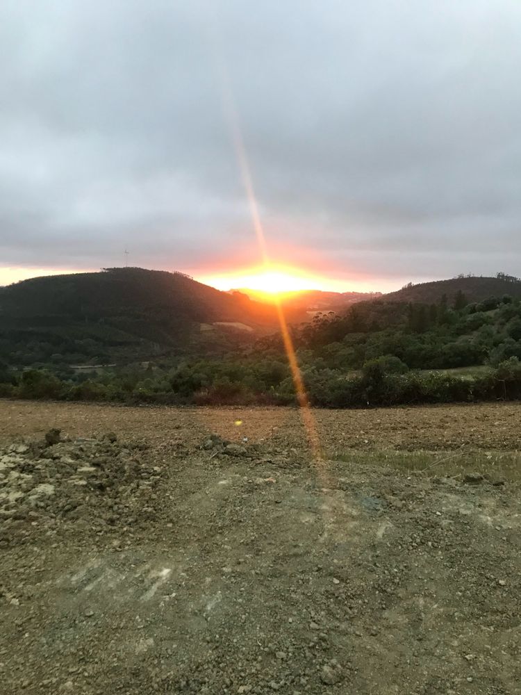 Terreno rustico em Mafra
