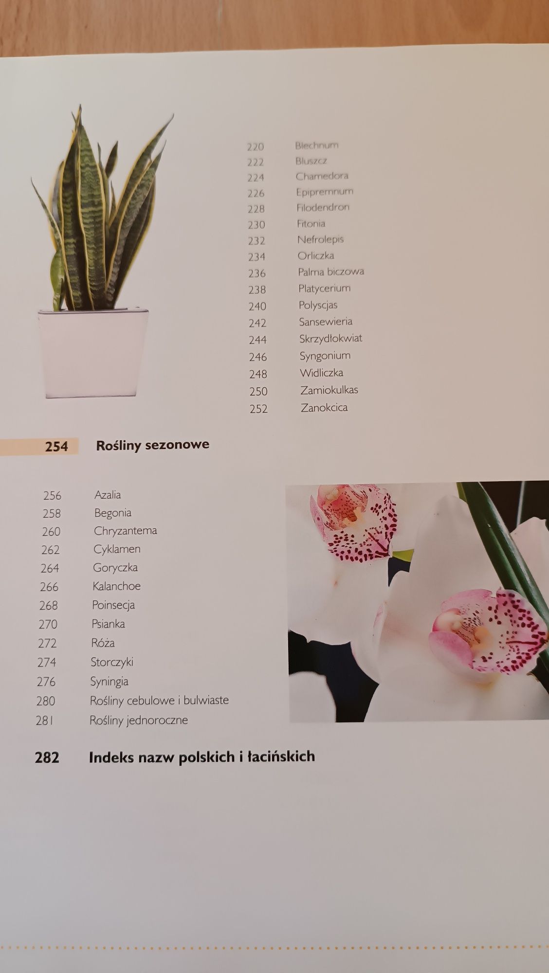 Encyklopedia roślin pokojowych