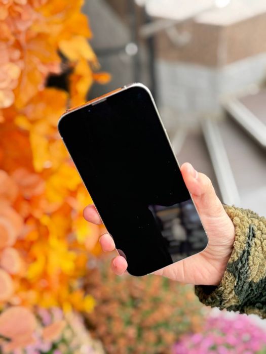 iPhone 13 Pro Max 128 GB Neverlock Гарантія