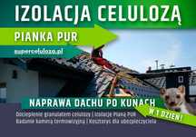Wdmuchiwanie celulozy | Naprawa izolacji po kunie | Piana PUR | KUNY