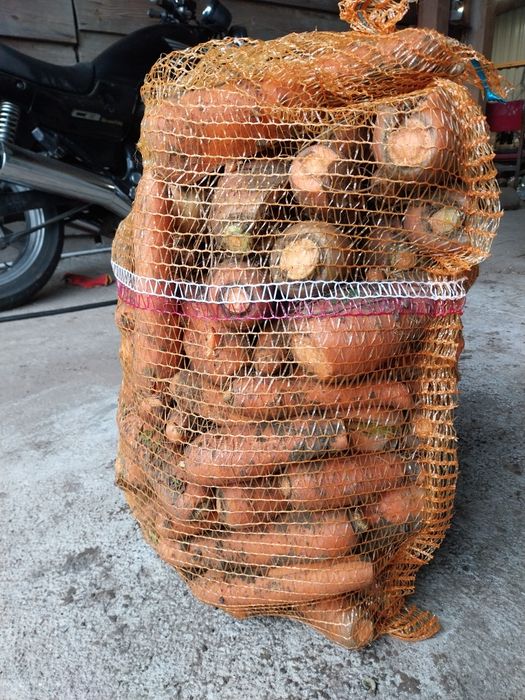 Marchew / burak dla zwierząt worki 25kg odsort