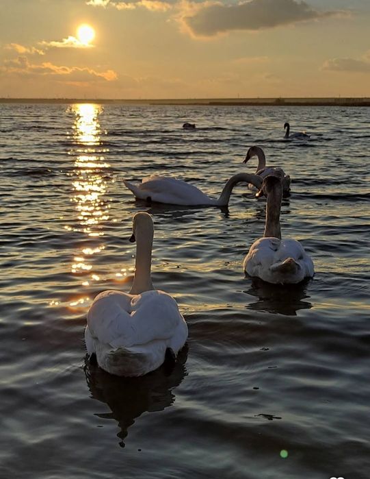 Продается Дом в Безопасном месте недалеко от речки