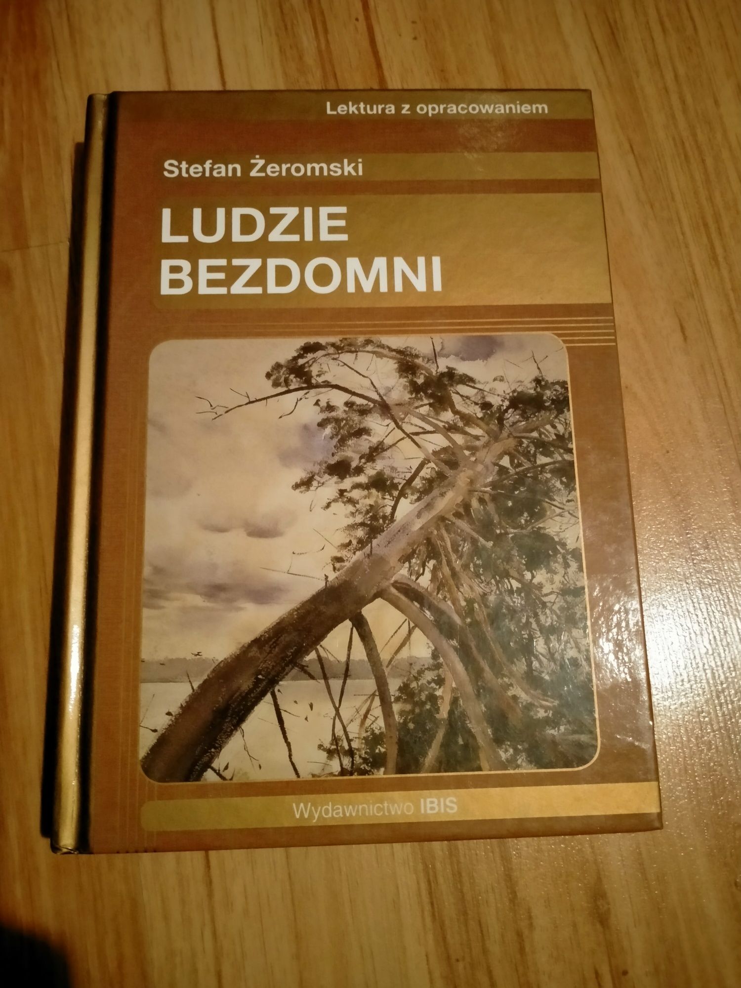 Książka "Ludzie bezdomni"