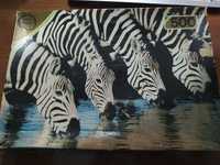 Puzzle zebras 500 peças Falcon