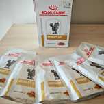 Royal Canin Urinary S/O – mokra karma dla kotów – OKAZJA!