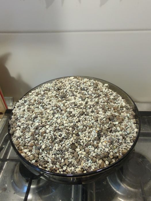 Mieszkanka do monster i filodendronów