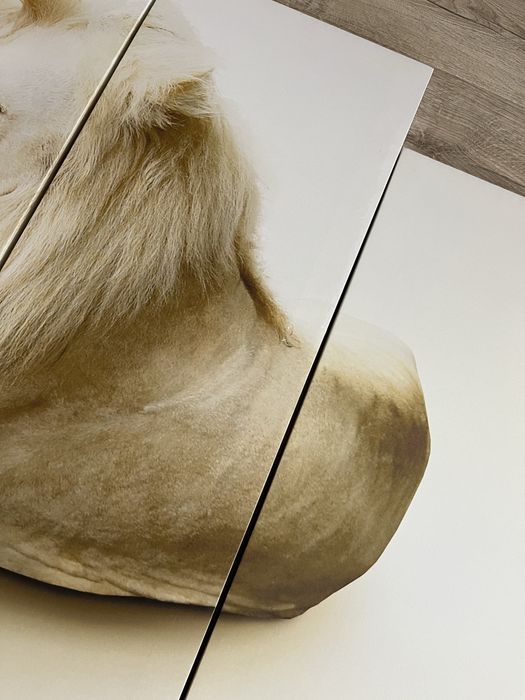 Obraz na ścianę w częściach 100 x 155 cm