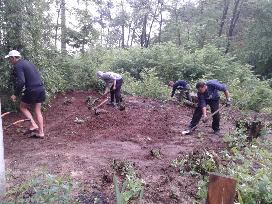 Розчищення ділянок Зрізання, обрізка, Видалення дерев Вирівнювання.