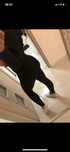 Leginsy sportowe push up