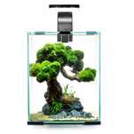 Krewetkarium Aquael SMART D&N 10 CZARNY