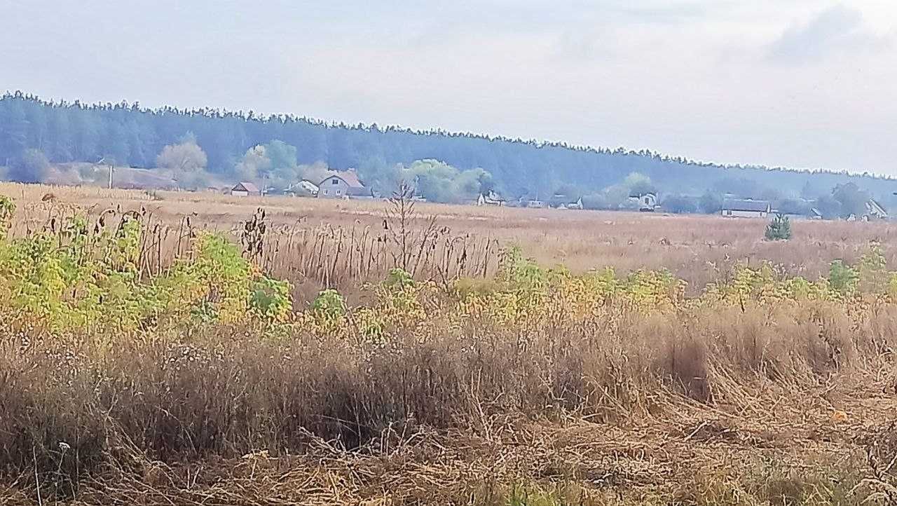 Продажа ділянки на околиці лісу