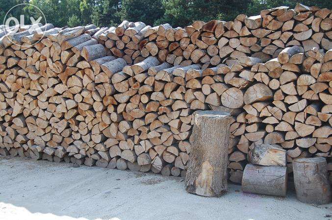 Drewno kominkowe - transport gratis buk