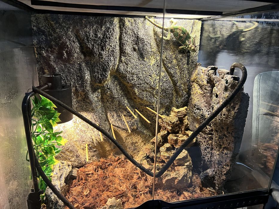 Тераріум 60*45*60 см. З усім необхідним