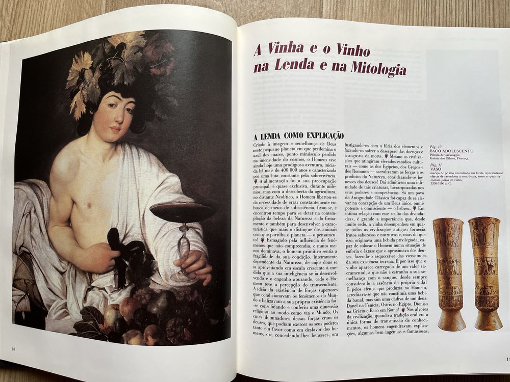 O Grande Livro do Vinho