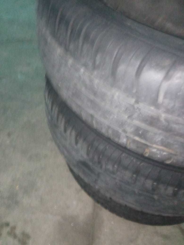 Pineus 175-65-R14