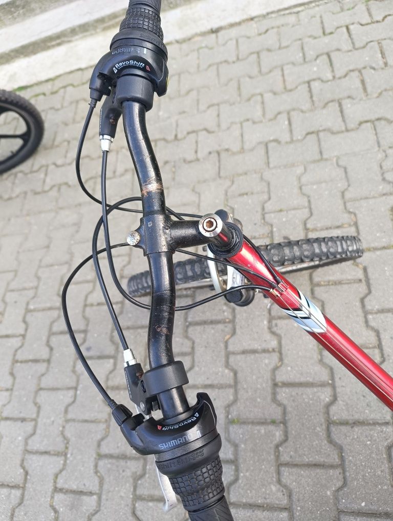 Rower Maxim Zasada Group 24"