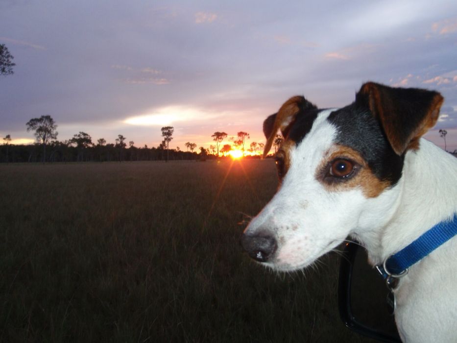 Цифровик Olympus mju 1030 SW