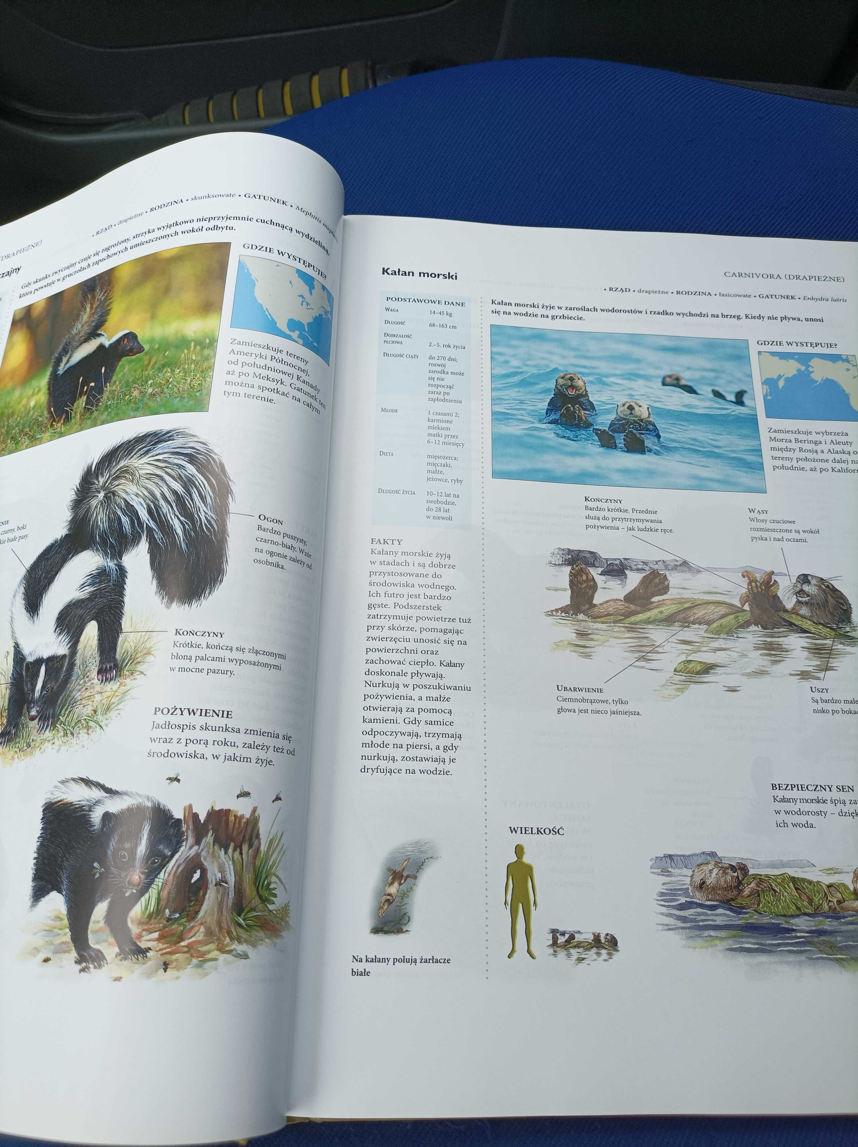 Alderton encyklopedia zwierząt świata wydanie I