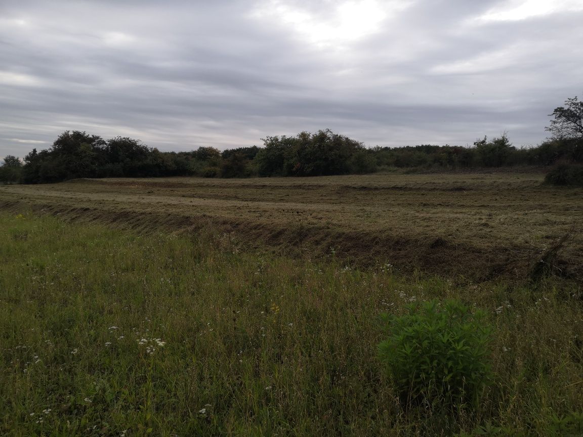 Usługi Koszenia traw i nieużytków,mulczowanie karczowanie