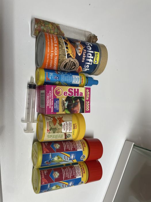 Aquario peixes com acessórios