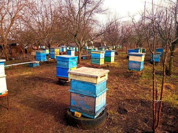 Бдожолопакети Запорізька, Дніпровська обл.