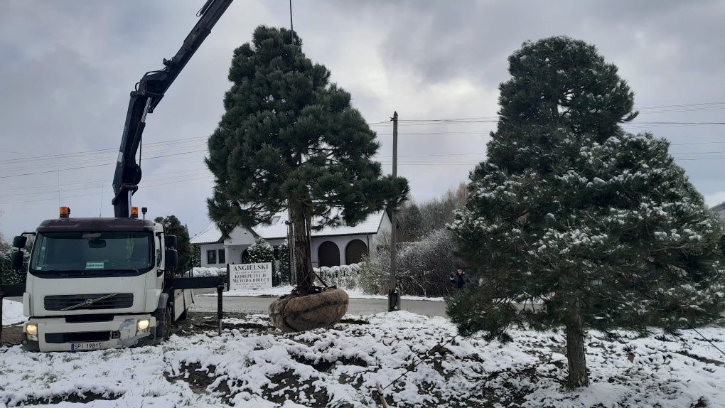 Usługi Transportowe HDS ,dzwig ,wolne terminy!!Tanio!