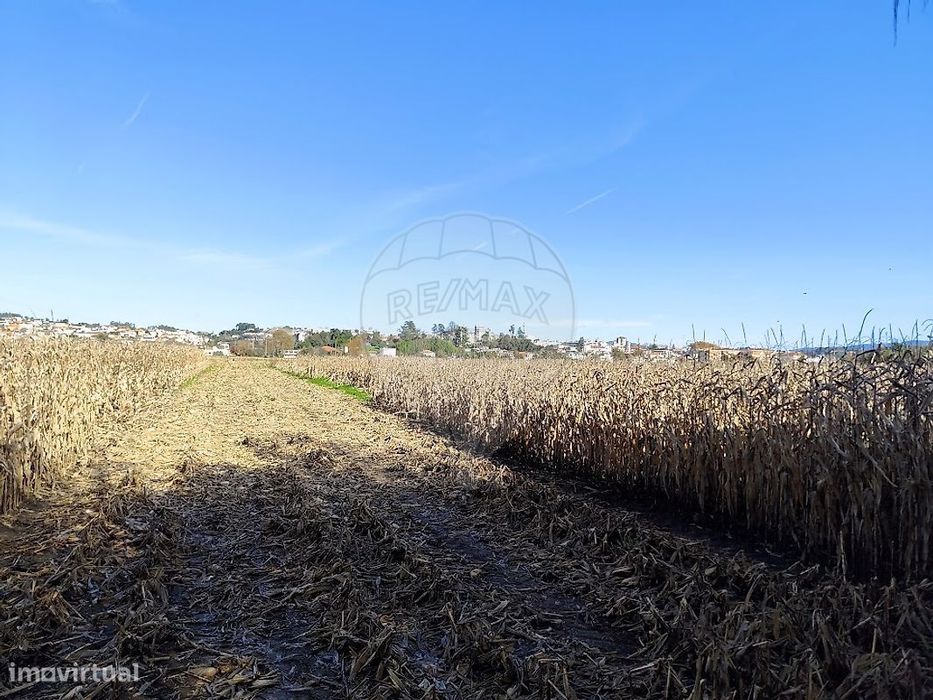 Terreno  para venda