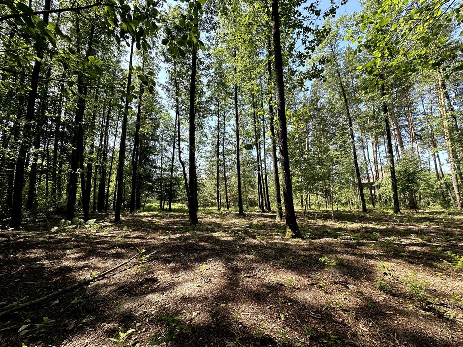 Земельна ділянка, житлова забудова село Пряжів