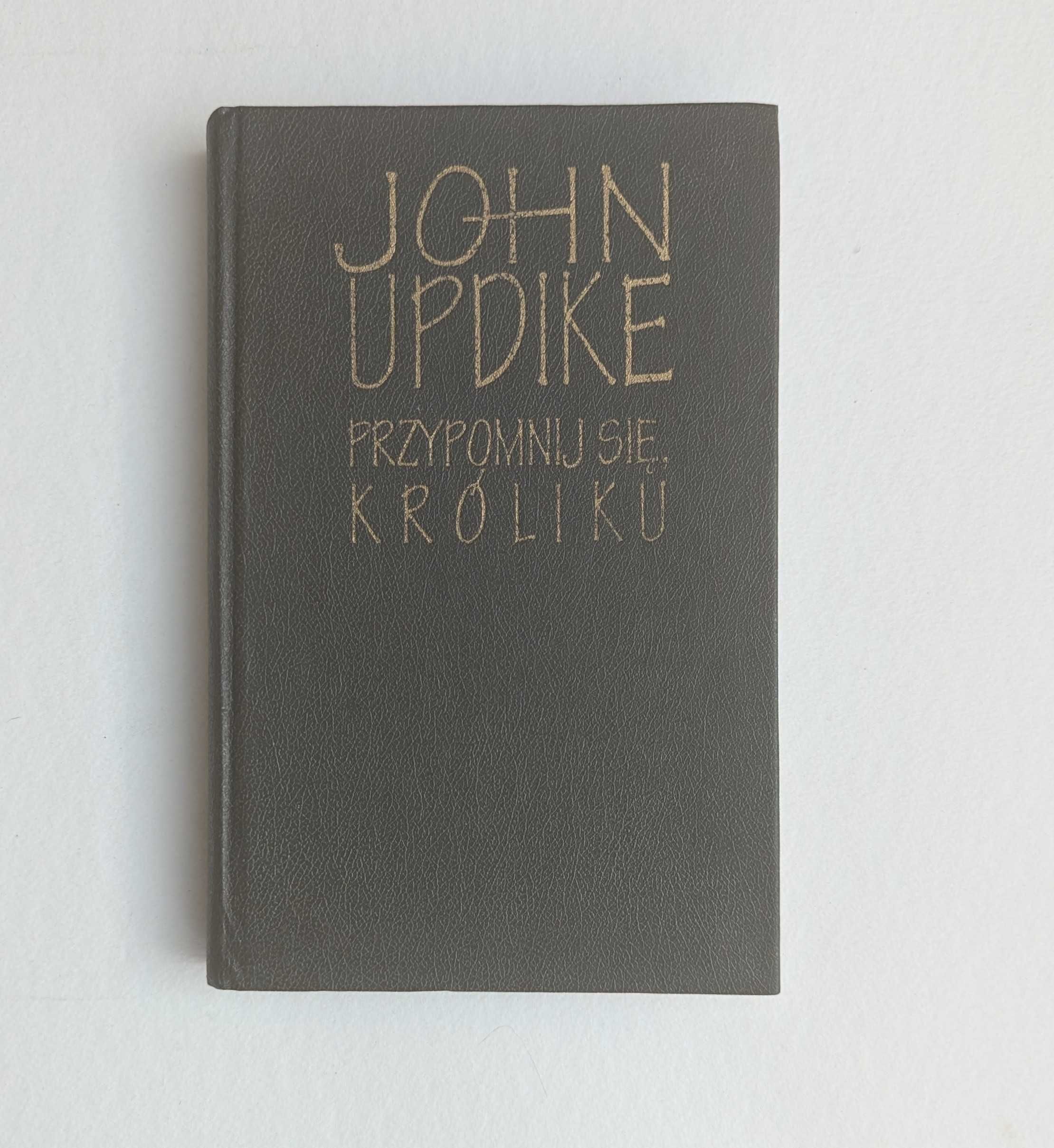 Przypomnij się króliku
John Updike