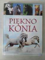 Książka Piękno konia