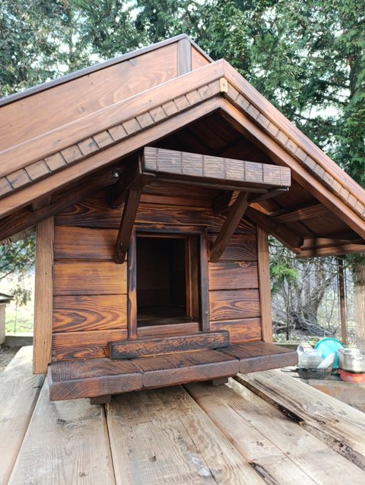 Buda dla psa unikat rzeźbiona