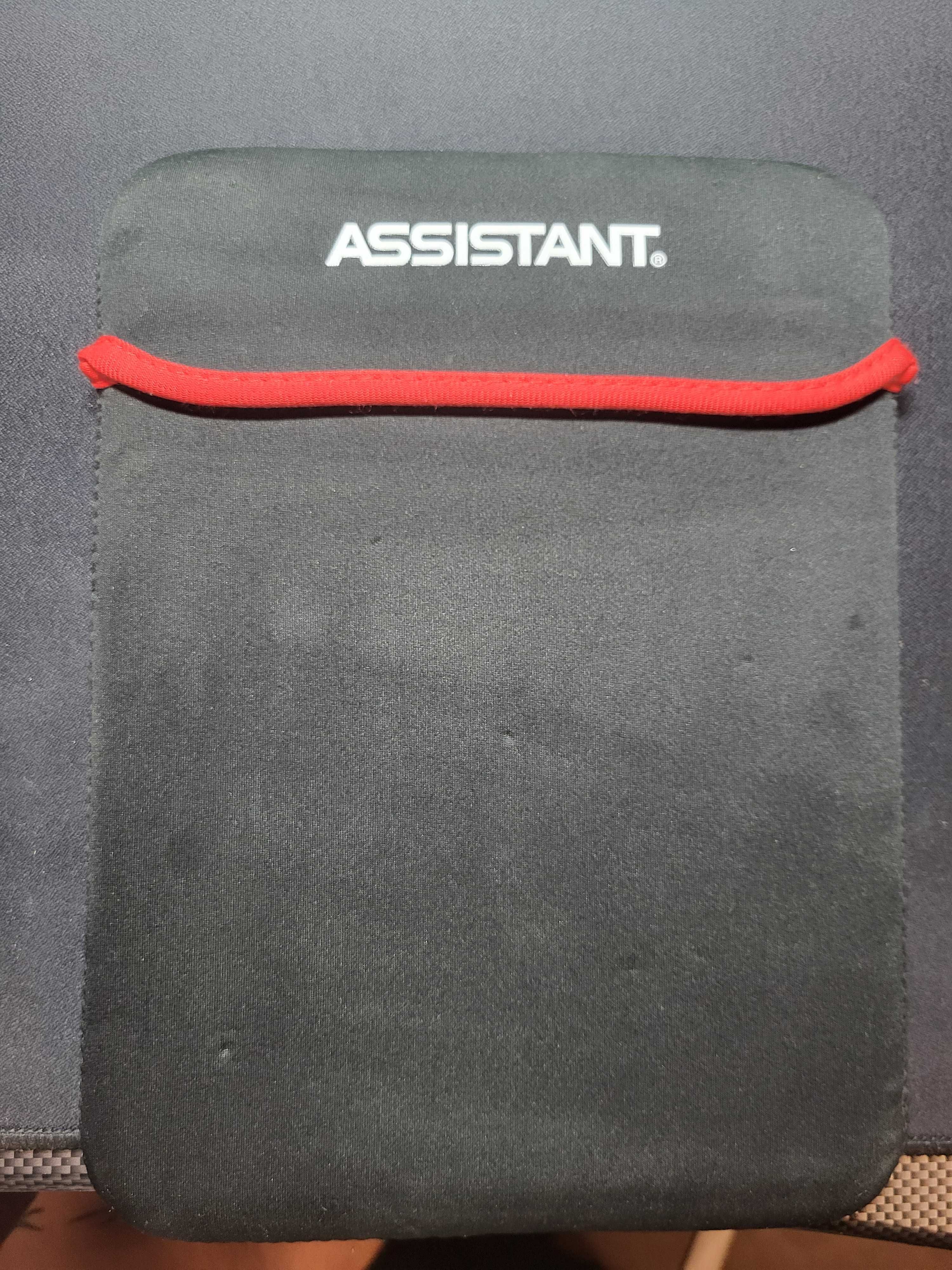 Планшет Assistant AP-102